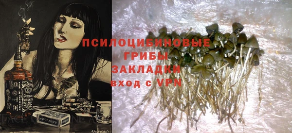 круглые Алзамай